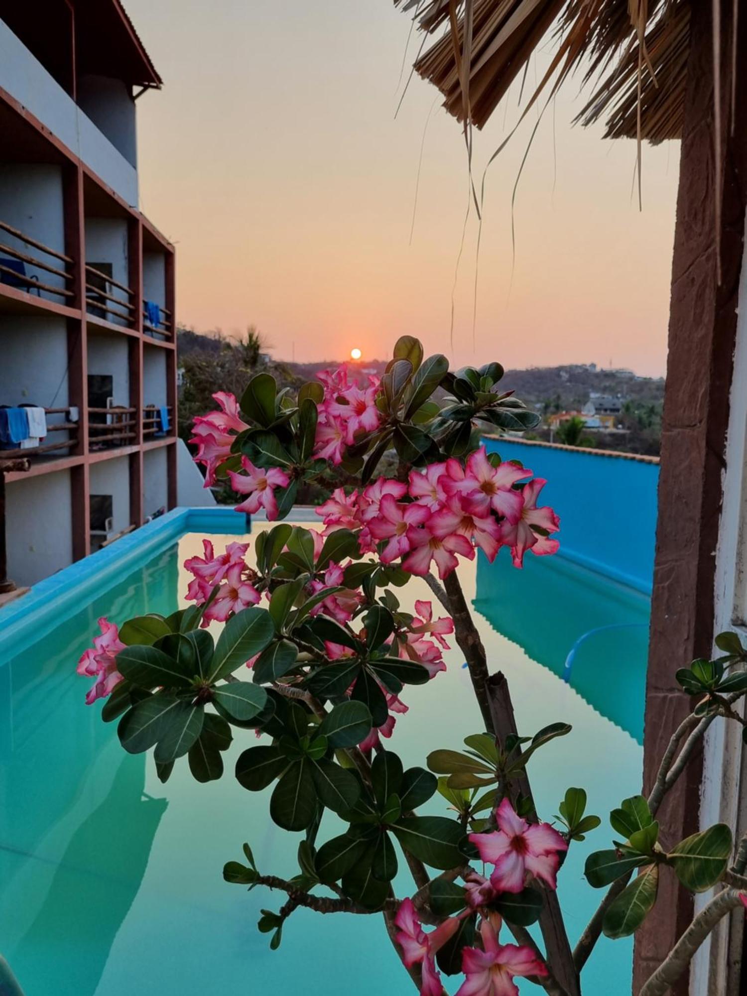 Namaste Zipolite Suites Exterior foto